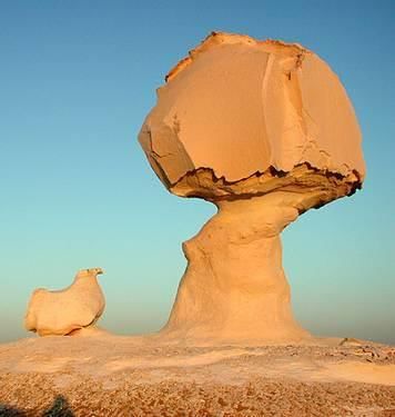 Rock have the Shape of Mushroom