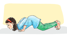 Yoga Sadhana Class 7 Notes Physical Education Unit 6 Chapter 2 Free PDF