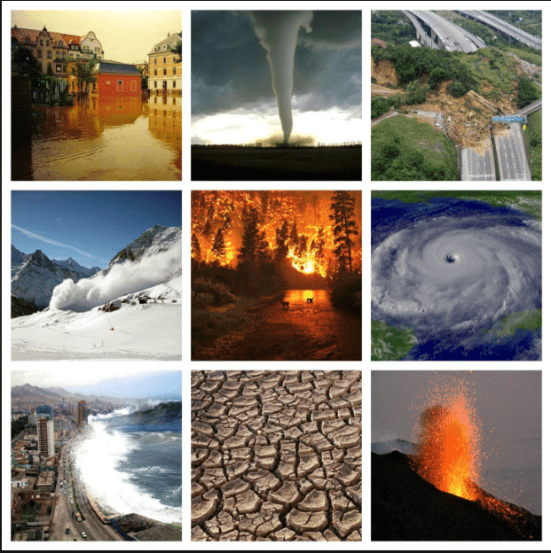 NCERT Solutions for Class 7 Social Science Chapter 3 Climates of India