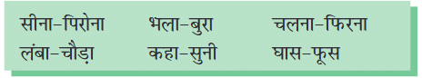 NCERT Solutions: खान पान की बदलती तस्वीर