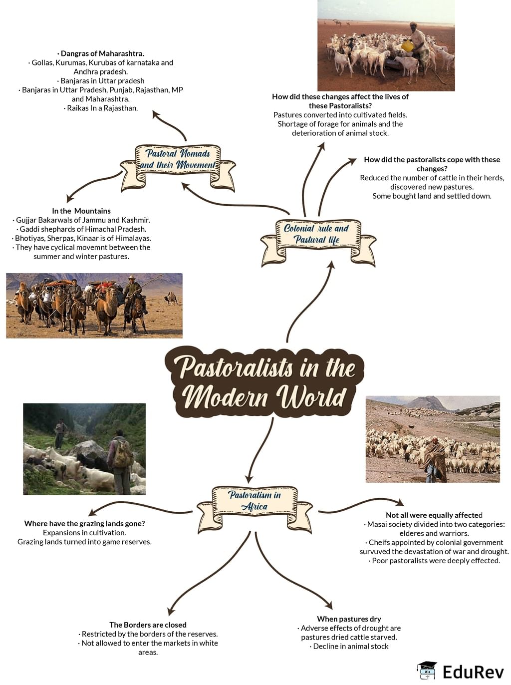 Mindmap: Pastoralists in the modern world | Subject-Wise Mind Maps for Class 9