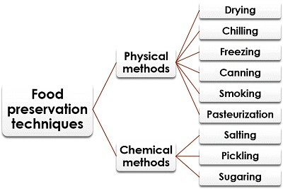 NCERT Solutions for Class 7 Social Science Chapter 1 Geographical Diversity of India