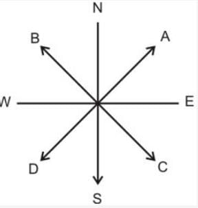 Class 6 Geography Chapter 4 Question Answers - Maps
