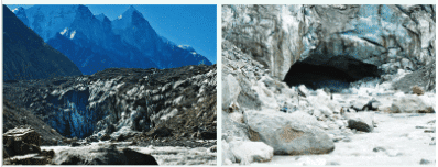 NCERT Solutions for Class 7 Social Science Chapter 1 Geographical Diversity of India