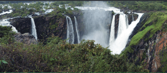 NCERT Solutions for Class 7 Social Science Chapter 1 Geographical Diversity of India