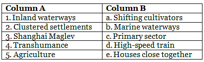 Worksheet: The Human Environment - Settlements, Transport and Communication - Class 7
