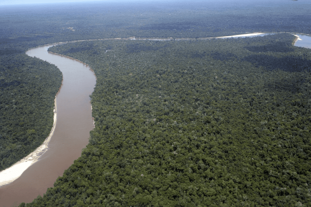 Life in the Tropical and the Subtropical Regions Chapter Notes - Class 7