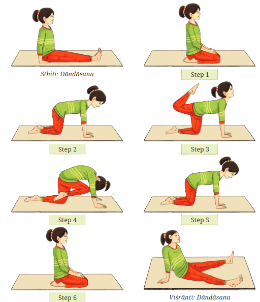 Yoga Asana Class 7 Notes Physical Education Unit 6 Chapter 3 Free PDF
