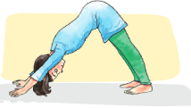 Yoga Sadhana Class 7 Notes Physical Education Unit 6 Chapter 2 Free PDF