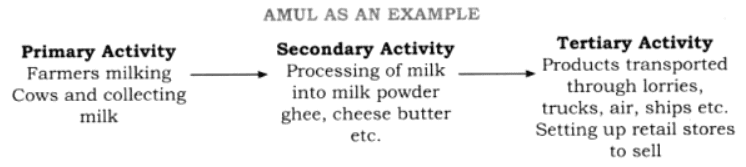 Economic Activities Around Us NCERT Solutions | Social Studies for Class 6