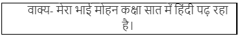 पुस्तकें जो अमर हैं NCERT Solutions | Hindi (Durva II) Class 7 (Old NCERT)