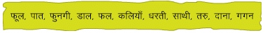 चिड़िया और चुरुंगुन NCERT Solutions | Hindi (Durva II) Class 7 (Old NCERT)