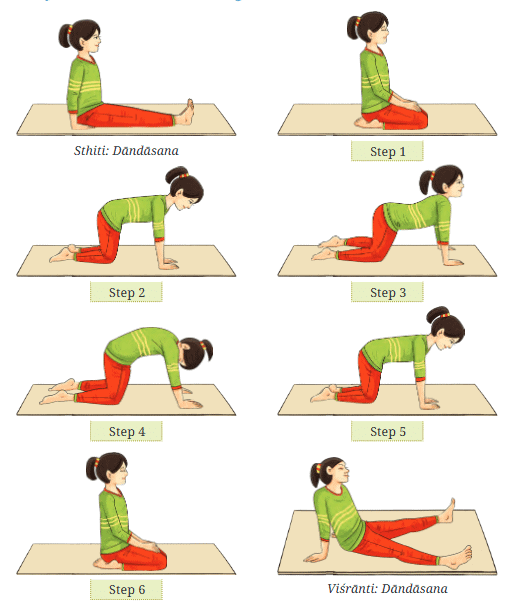 Yoga Asana Class 7 Notes Physical Education Unit 6 Chapter 3 Free PDF