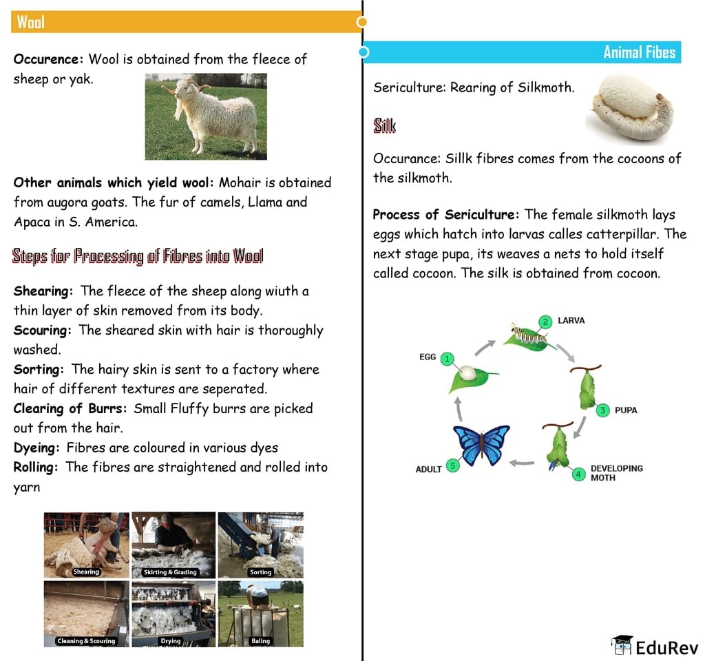 Mindmap: Fibre to Fabric | Subject-Wise Mind Maps for Class 7