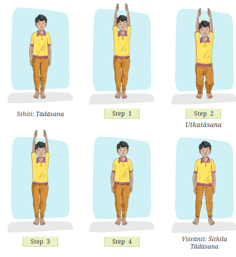 Yoga Asana Class 7 Notes Physical Education Unit 6 Chapter 3 Free PDF