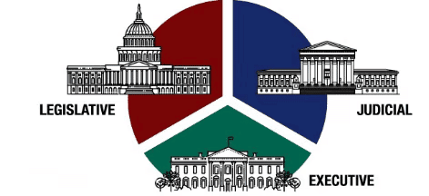 Unit Test Solutions: Grassroots Democracy - Part 1 : Governance | Social Studies for Class 6