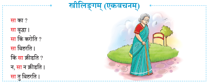 एषः कः ? एषा का ? एतत् किम् ? Chapter Notes | Sanskrit for class 6