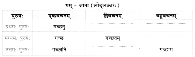 Worksheet: त्वम् आपणं गच्छ | Sanskrit for class 6