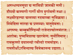 NCERT Solutions: शूरा: वयं धीरा: वयम्