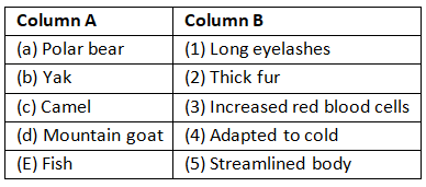 Worksheet: Adaptations in Animals | Eureka Plus Class 5: Book Solutions, Notes & Worksheets