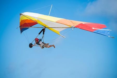 Fig: Gliding