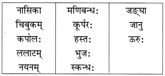 माधवस्य प्रियम् अङ्गम् NCERT Solutions | Sanskrit for class 6