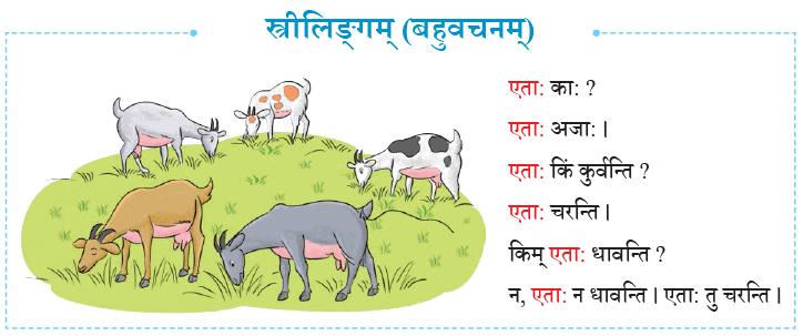 एषः कः ? एषा का ? एतत् किम् ? Chapter Notes | Sanskrit for class 6