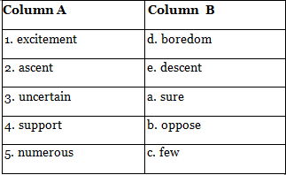 Textbook Solutions: Climbing Everest | Buzzword Workbook Class 7: Solutions, Notes & Worksheets