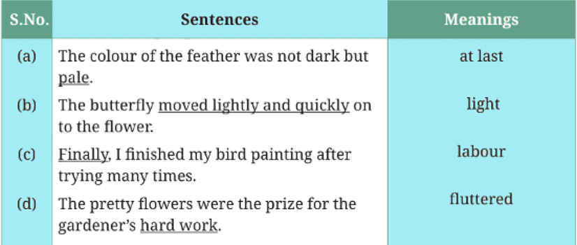 What a Bird Thought NCERT Solutions | English Class 6 (Honeysuckle)