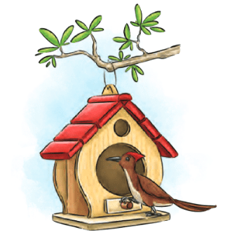 What a Bird Thought NCERT Solutions | English Class 6 (Honeysuckle)