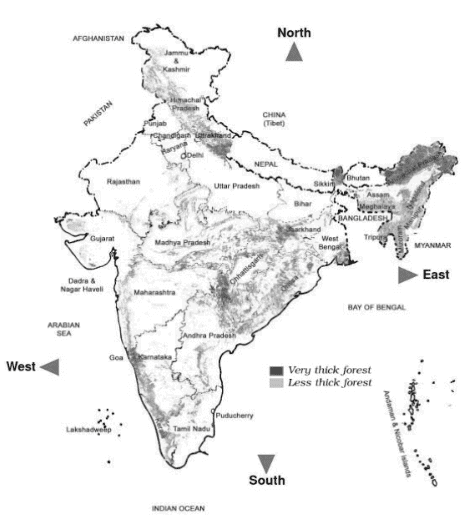 Whose Forests? - 1 Class 5 Worksheet EVS Chapter 20