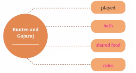 The Unlikely Best Friends NCERT Solutions | English Class 6 (Honeysuckle)
