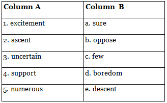 Textbook Solutions: Climbing Everest | Buzzword Workbook Class 7: Solutions, Notes & Worksheets