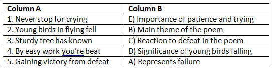 Worksheet Solutions: Don`t Give Up | New English Ferry: Book Solutions, Notes & Worksheets - Class 5