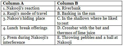 The Unusual Spectator Class 7 Worksheet Buzzword