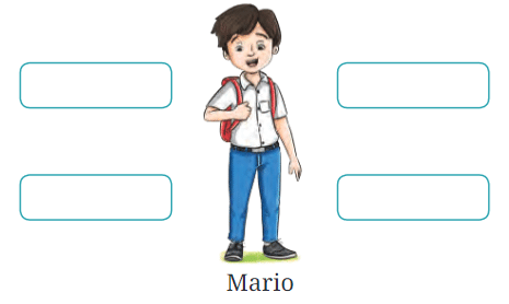 The Chair NCERT Solutions | English Class 6 (Honeysuckle)