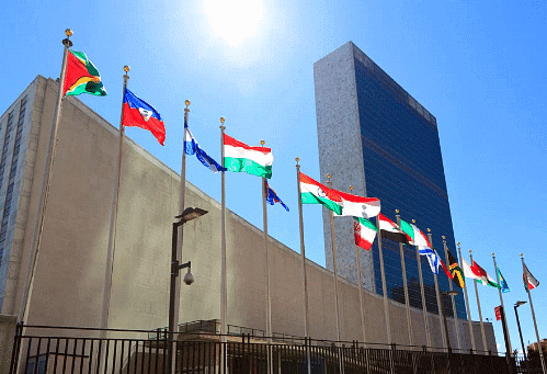 India and the U.N. - 2 Class 5 Worksheet SST