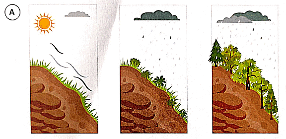 Textbook Solutions: Soil Erosion and Conservation | Eureka Plus Class 5: Book Solutions, Notes & Worksheets