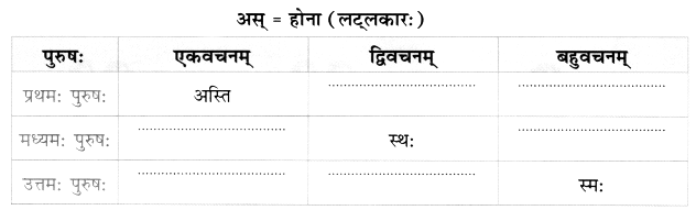 Worksheet: अहं च त्वं च | Sanskrit for class 6