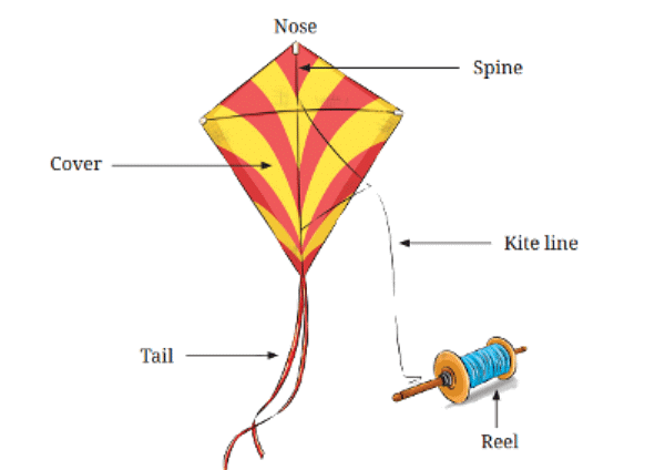 The Kites NCERT Solutions | English Class 6 (Honeysuckle)