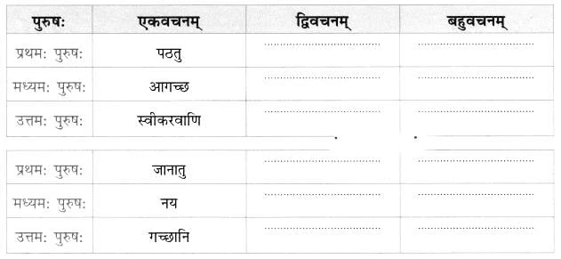 Worksheet: त्वम् आपणं गच्छ | Sanskrit for class 6