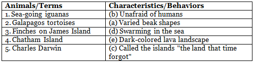 Darwin Diaries Class 7 Worksheet Buzzword