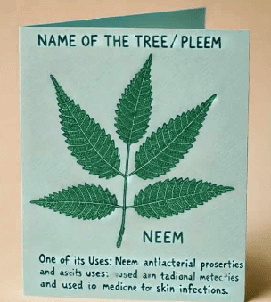 Neem Baba NCERT Solutions | English Class 6 (Honeysuckle)