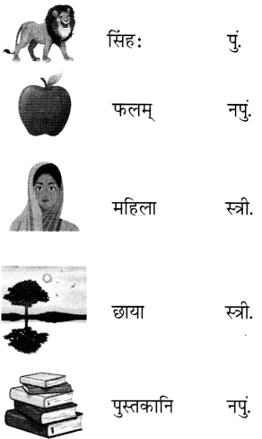 पृथिव्यां त्रीणि रत्नानि NCERT Solutions | Sanskrit for class 6