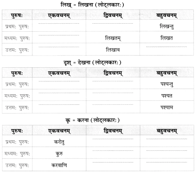 Worksheet: त्वम् आपणं गच्छ | Sanskrit for class 6