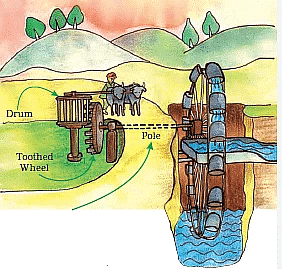 Walls Tell Stories - 1 Class 5 Worksheet EVS Chapter 10