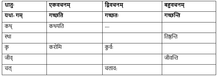 बुद्धि: सर्वार्थसाधिका NCERT Solutions | Sanskrit for class 6