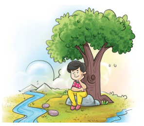 वृक्षा: सत्पुरुषा: इव NCERT Solutions | Sanskrit for class 6