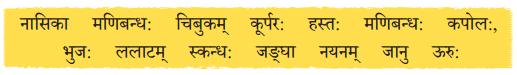 माधवस्य प्रियम् अङ्गम् NCERT Solutions | Sanskrit for class 6