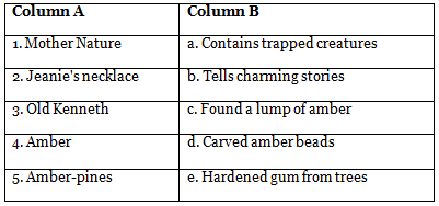The Story of Amber Beads Class 6 Worksheet New Pathways